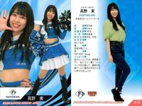 カード 【状態B】 BBM チアリーダー FIGHTERS GIRL 日本ハム 阪神 タイガースガール まとめ 野球 サムネイル 8