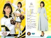 カード 【状態B】 BBM チアリーダー FIGHTERS GIRL 日本ハム 阪神 タイガースガール まとめ 野球 サムネイル 5