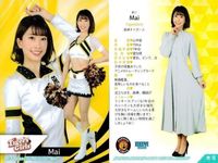 カード 【状態B】 BBM チアリーダー FIGHTERS GIRL 日本ハム 阪神 タイガースガール まとめ 野球 サムネイル 3