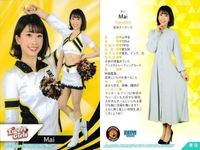 カード 【状態B】 BBM チアリーダー FIGHTERS GIRL 日本ハム 阪神 タイガースガール まとめ 野球 サムネイル 4