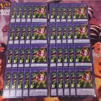 神碑の牙フレーキ 型番統一 40枚 まとめ ノーマル 遊戯王 DABL-JP041 ルーン サムネイル 1