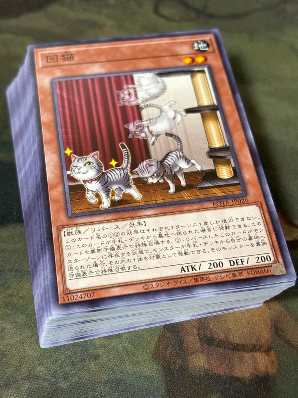 回猫 50枚 型番統一 コレクション まとめ ROTA 遊戯王 大量 ノーマル
