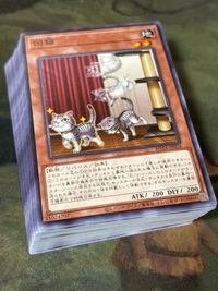 回猫 50枚 型番統一 コレクション まとめ ROTA 遊戯王 大量 ノーマル
