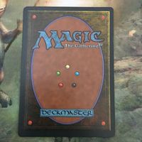 MTG マジックザギャザリング シングル カード 一匹狼カシミール/Kasimir Lupo Solitario（IT）22 サムネイル 2
