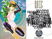 電撃大王 カード まとめ DDTC 2000年 非売品 美少女 水着 電撃 No 10 11 12 13 14 15 16 17 18 19 サムネイル 7