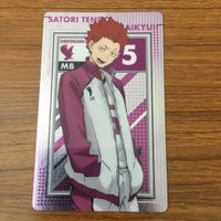 カード トレカ まとめ ハイキュー 日向 翔陽 1 サムネイル 9