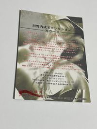 激レア 吸血姫 美夕 ヴァンパイア ミユ 光カード 垣野内成美 コレクション ラッキーカード カード トレカ トレーディングカード ハイブリッドカードコレクション サムネイル 5