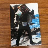 仮面ライダー カード まとめ 45 サムネイル 5