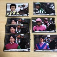 競馬 オーナーズホース まねき馬 カード まとめ 未開封 武豊 ウィンバリアシオン 大塚栄三郎 松岡正海 サムネイル 5