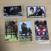 競馬 オーナーズホース まねき馬 カード まとめ 未開封 武豊 ウィンバリアシオン 大塚栄三郎 松岡正海 サムネイル 2
