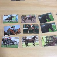 競馬 オーナーズホース まねき馬 カード まとめ 未開封 武豊 ウィンバリアシオン 大塚栄三郎 松岡正海 サムネイル 3
