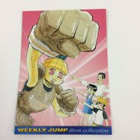 ジャンプフェスタ カード まとめ 2001 2004 ごっちゃんです バカバカしいの 純情パイン 34 サムネイル 7