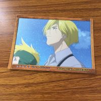 鋼の錬金術師 ハガレン カード トレカ カードダスマスターズ まとめ エド エドワード アル アルフォンス アームストロング 8 サムネイル 9