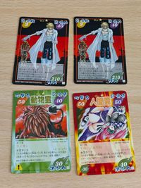 シャーマンキングカード 動物霊 ライオン 超占事略決 スーパーレア 125/203 First ファウストⅧ世 くの一 あやね