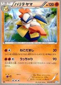 ポケモン カード まとめ BW8 BW9 他 マンキー ムクバード ねっこの化石 シビビール ユクシー フワライド 白銀の鏡 ユキカブリ サムネイル 9