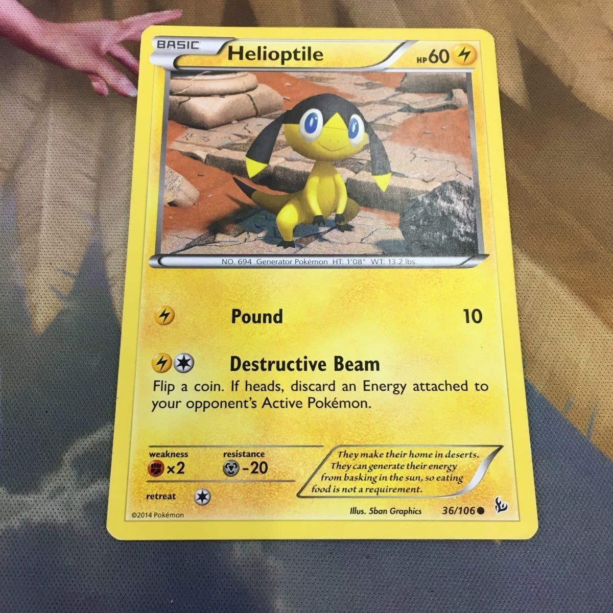 ポケモンカード 旧裏面 海外 英語版 1枚 エレキテル 51 Helioptile