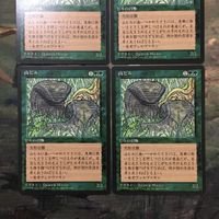 MTG Magic Gathering Card Lot 4ED Land Leeches 4x サムネイル 2