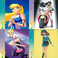 キューティーハニーF キューティーハニー アマダ ダイナミック企画 まとめ カード まとめ キャラクター 如月ハニー キューティーハニー キューティーハニー 集合 ブラックパンサー ゴールドデジル 夏子 セラ ドルイデ 18枚 サムネイル 8