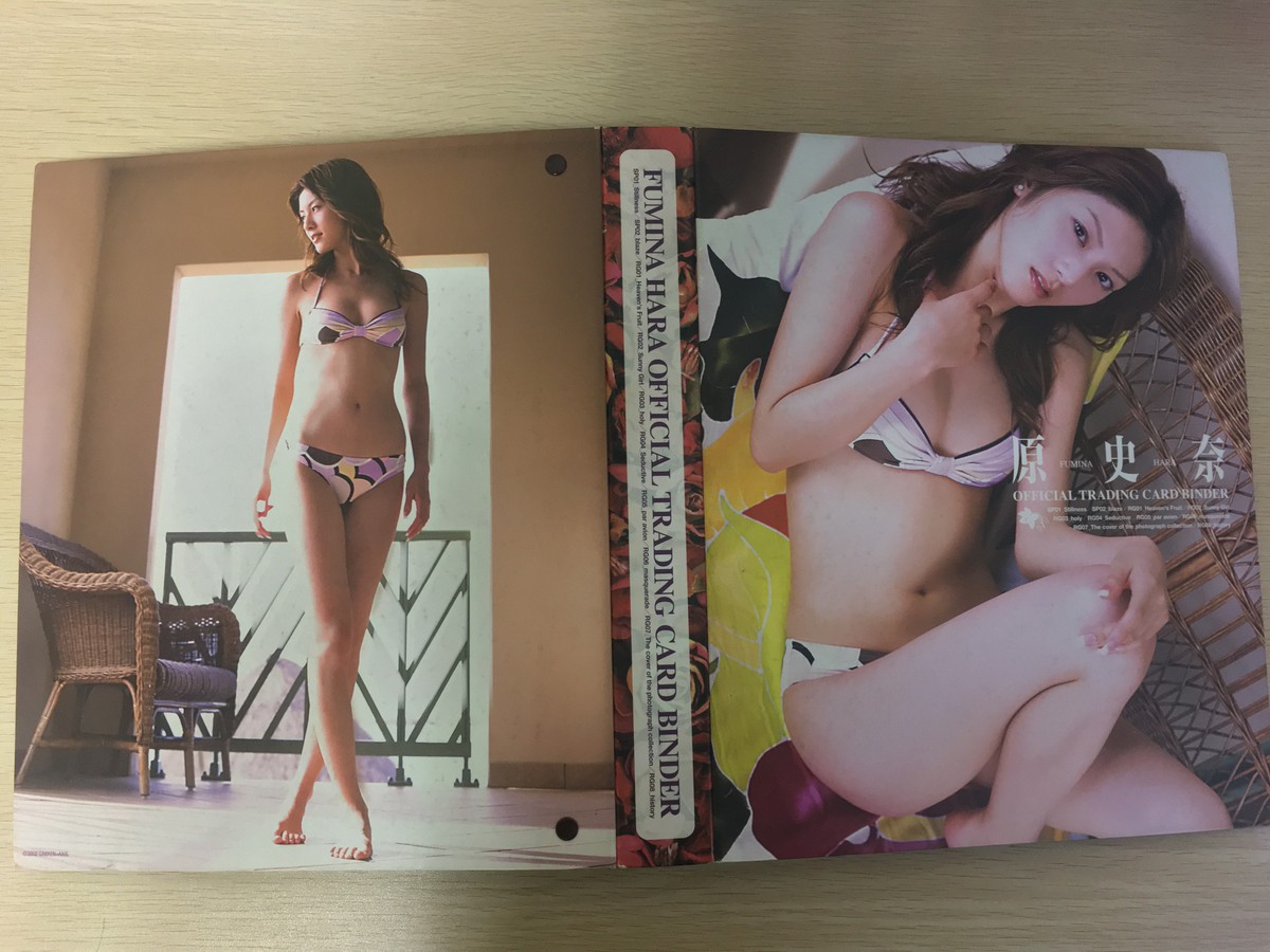 原史奈 OFFICIAL TRADING CARD BINDER 原 史奈 バインダー 特典 レア グラビア アイドル カード 原史奈 トレカ トレーディングカードバインダー