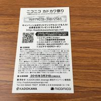 カード トレカ まとめ 非売品 プロモ ニコニコ カドカワ祭り 冴えない彼女の育てかた デンキ街の本屋さん ディーふらぐ！ 19 サムネイル 6