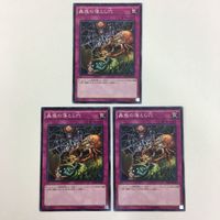 遊戯王 ノーマル 神の宣告 神の警告 蠱惑の落とし穴 カード まとめ サムネイル 6