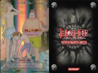 カード ディーグレイマン Dグレ D.gray-man GR まとめ 海 スイカ割り リーバー ウェンハム コムイ リー バク チャン SP02013 02014 02015キラ レア サムネイル 2