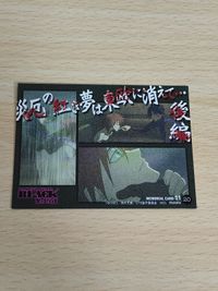 DARKER THAN BLACK -黒の契約者- カード ムービック movic 岡村天斎 ハヴォック 20 サムネイル 2