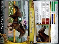 カード ホースレーシング まとめ プラチナムバレット ウキヨノカゼ サトノダイヤモンド セイウンコウセイ ソウルスターリング サンライズノヴァ マルターズアポジー ダンスディレクター サトノクラウン 競馬 馬 EPOCH サムネイル 7
