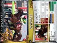 カード ホースレーシング まとめ プラチナムバレット ウキヨノカゼ サトノダイヤモンド セイウンコウセイ ソウルスターリング サンライズノヴァ マルターズアポジー ダンスディレクター サトノクラウン 競馬 馬 EPOCH サムネイル 4