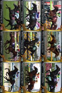 カード ホースレーシング まとめ プラチナムバレット ウキヨノカゼ サトノダイヤモンド セイウンコウセイ ソウルスターリング サンライズノヴァ マルターズアポジー ダンスディレクター サトノクラウン 競馬 馬 EPOCH