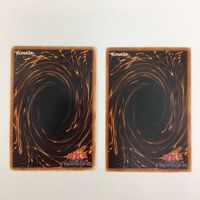 遊戯王 ノーマル 融合 カード まとめ サムネイル 10