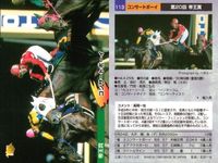 競馬 カード ホースレーシング まとめ アグネスワールド シンコウウインディ ホクトベガ コンサートボーイ テイエムメガトン バンダイ サムネイル 5