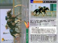 競馬 カード ホースレーシング まとめ アグネスワールド シンコウウインディ ホクトベガ コンサートボーイ テイエムメガトン バンダイ サムネイル 3