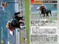 競馬 カード ホースレーシング まとめ アグネスワールド シンコウウインディ ホクトベガ コンサートボーイ テイエムメガトン バンダイ サムネイル 2