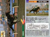 競馬 カード ホースレーシング まとめ アグネスワールド シンコウウインディ ホクトベガ コンサートボーイ テイエムメガトン バンダイ サムネイル 4