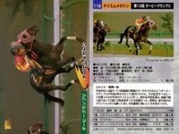 競馬 カード ホースレーシング まとめ アグネスワールド シンコウウインディ ホクトベガ コンサートボーイ テイエムメガトン バンダイ サムネイル 6