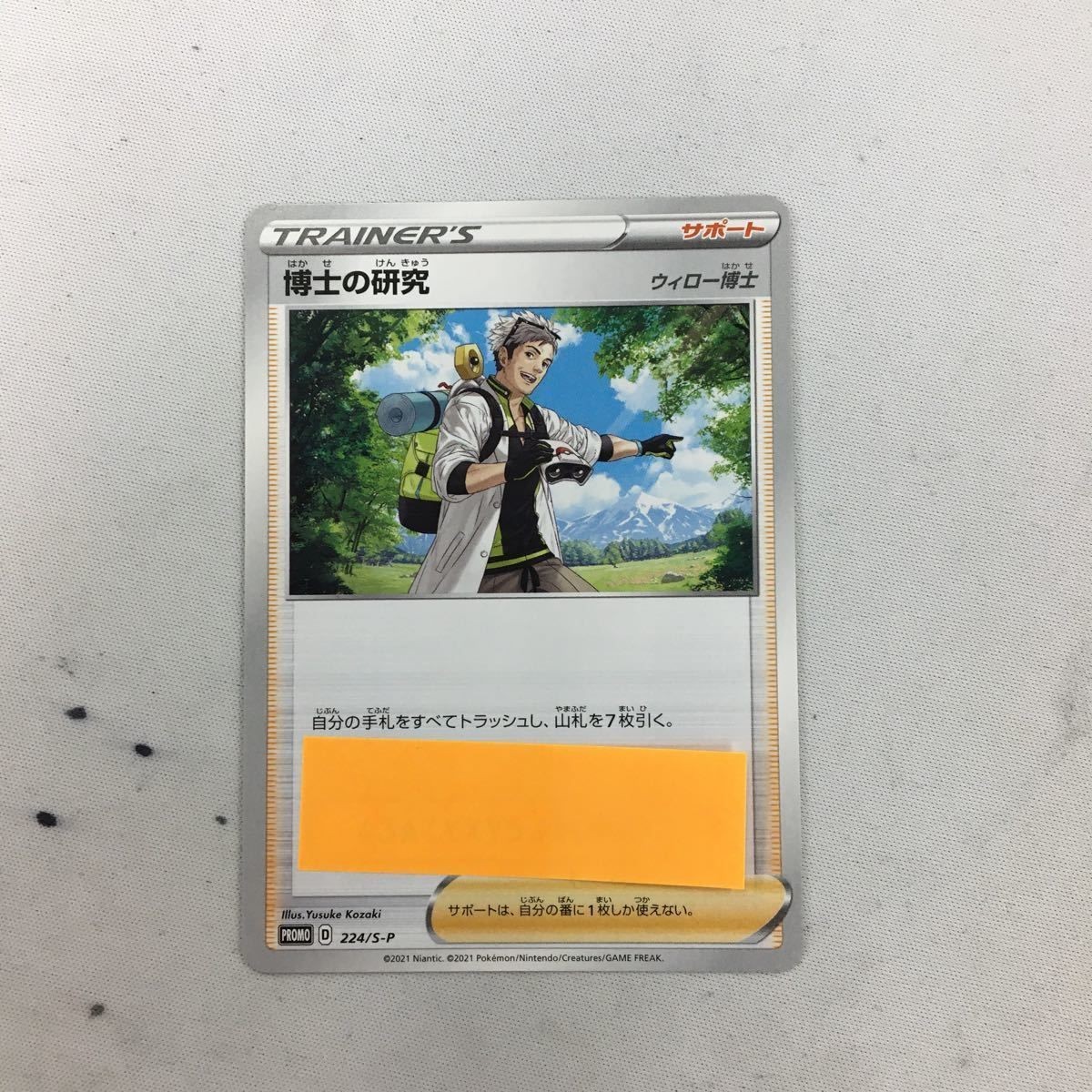ポケモンカード 新裏面 プロモ 博士の研究 17