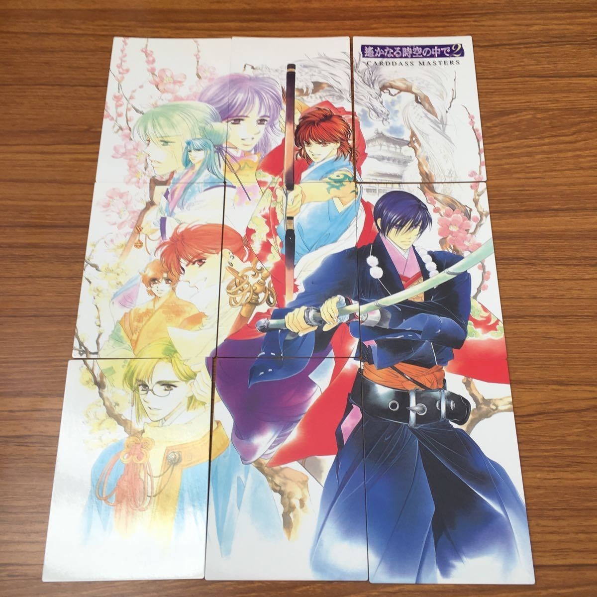 Haruka Naru Tokimeki Carddass Masters Card Lot