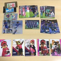 セレッソ大阪 直筆サインカード ロビー ロビーナ サイン ニッポンハム オフィシャル カード 日本代表 久保建英 伊藤純也 o16-1 k112