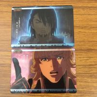 カード トレカ まとめ TIGER BUNNY タイガー バニー タイバニ 21 サムネイル 3