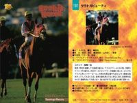 競馬 カード ホースレーシング まとめ ピロウイナー アレミロード マイネルラヴ フィガロ キュンティア サラトガビューティ ケントウ ヤマニントランザム キングヘイロー バンダイ サムネイル 7