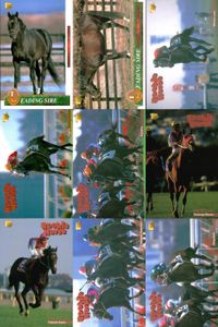 競馬 カード ホースレーシング まとめ ピロウイナー アレミロード マイネルラヴ フィガロ キュンティア サラトガビューティ ケントウ ヤマニントランザム キングヘイロー バンダイ サムネイル 1