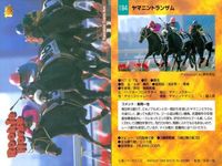 競馬 カード ホースレーシング まとめ ピロウイナー アレミロード マイネルラヴ フィガロ キュンティア サラトガビューティ ケントウ ヤマニントランザム キングヘイロー バンダイ サムネイル 9