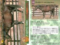 競馬 カード ホースレーシング まとめ ピロウイナー アレミロード マイネルラヴ フィガロ キュンティア サラトガビューティ ケントウ ヤマニントランザム キングヘイロー バンダイ サムネイル 3