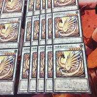 甲纏竜ガイアーム 40枚 型番統一 遊戯王 ノーマル まとめ DAMA-JP042 サムネイル 5