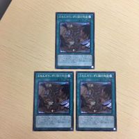 Yu-Gi-Oh Fuwandary Secret Rare Card Lot