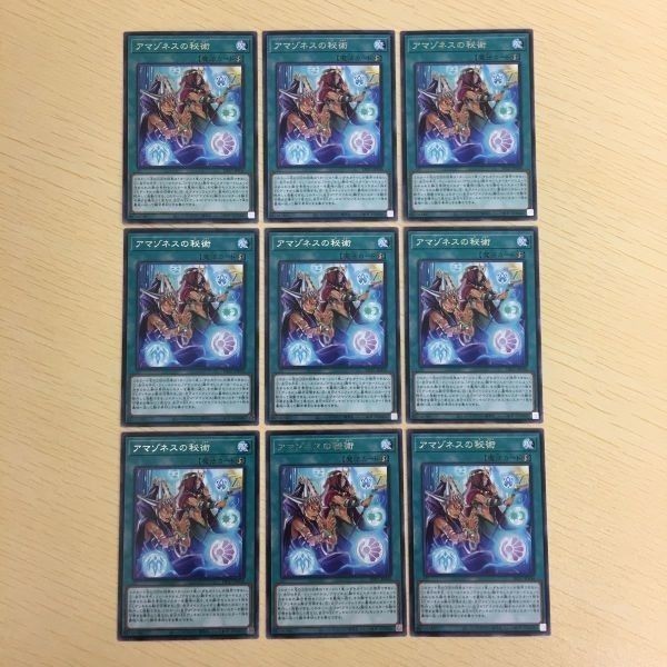 遊戯王 字レア カード トレーディングカード アマゾネスの秘術 まとめ