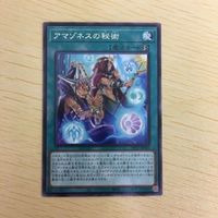 遊戯王 字レア カード トレーディングカード アマゾネスの秘術 まとめ サムネイル 5