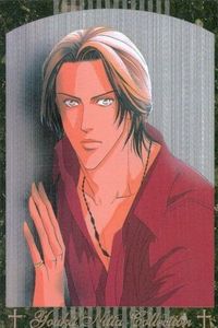 カード 春を抱いていた SP スペシャルカード 4 新田祐克コレクション キラ レア