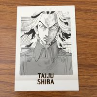 トレカ カード まとめ 東京リベンジャーズ ぱしゃこれ 武藤 泰宏 稀咲 鉄太 箔押し レア 31 サムネイル 7